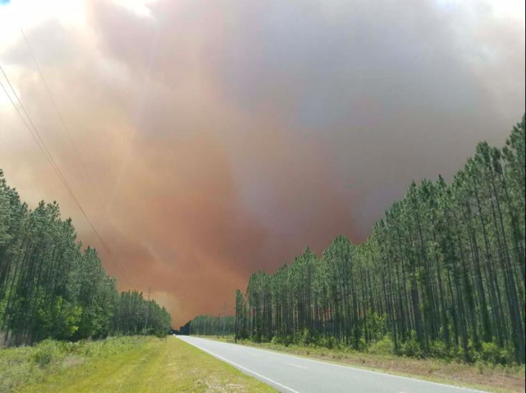 Wildfire