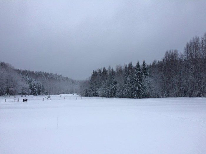 Snow Finland