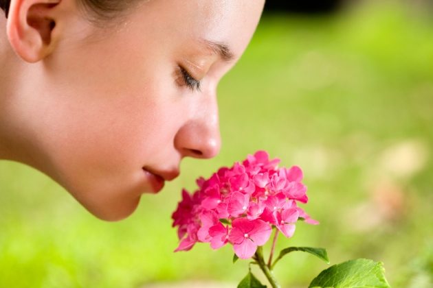 sense of smell, woman smelling flowers