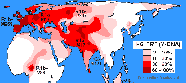 Click to enlarge Y-DNA