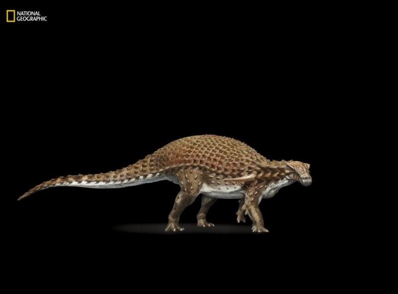 nodosaur