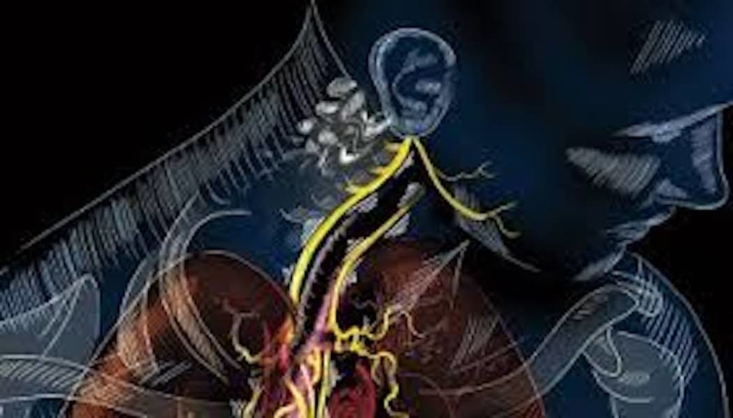 Click to enlarge vagus nerve