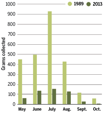 Click to enlarge Insect disappearances