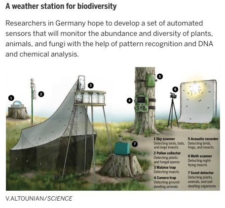 Weather station for biodiversity
