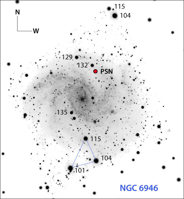 Possible supernova in NGC 6946