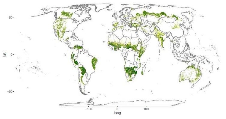 Click to enlarge lost forest Australia world's drylands