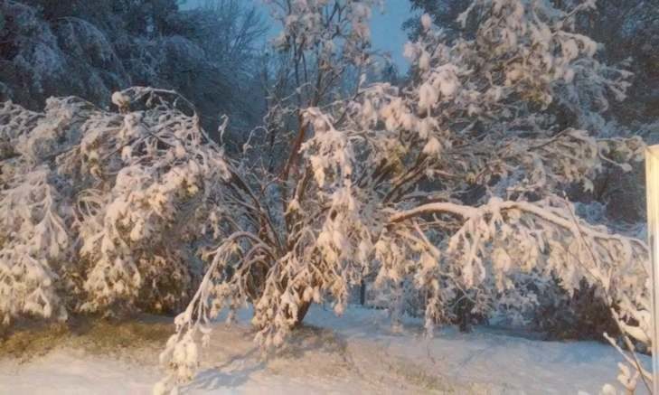 Click to enlarge Snow in Washington, NH