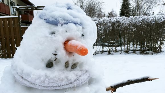 Click to enlarge Snowmen turned up in gardens in Kainuu on Mother's Day.