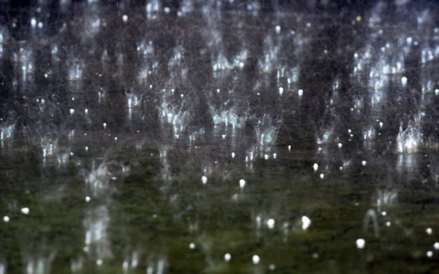 Hailstones bouncing off the pavement