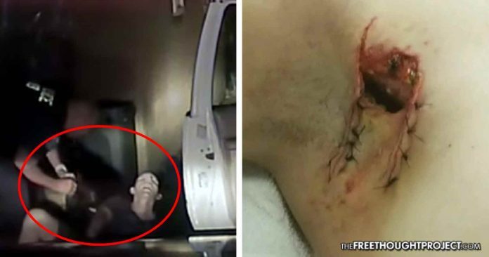 police dog bites man