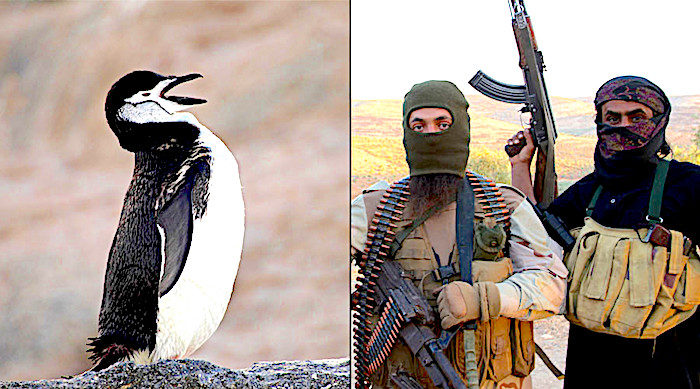 penguin/terrorists