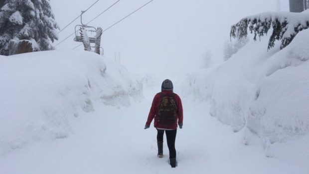 Grouse Mountain saw 25 cm of snow fall from May 15-16, 2017.
