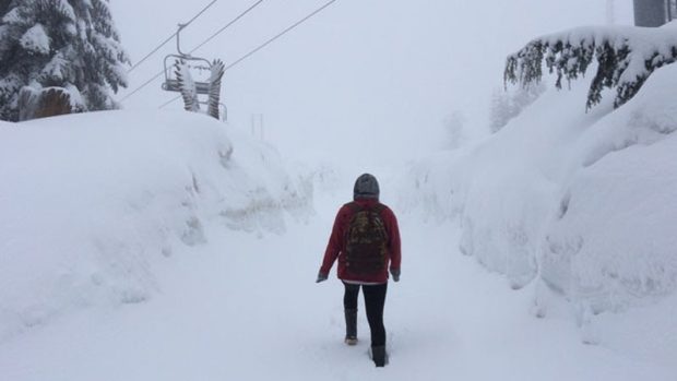 Click to enlarge Grouse Mountain saw 25 cm of snow fall from May 15-16, 2017.