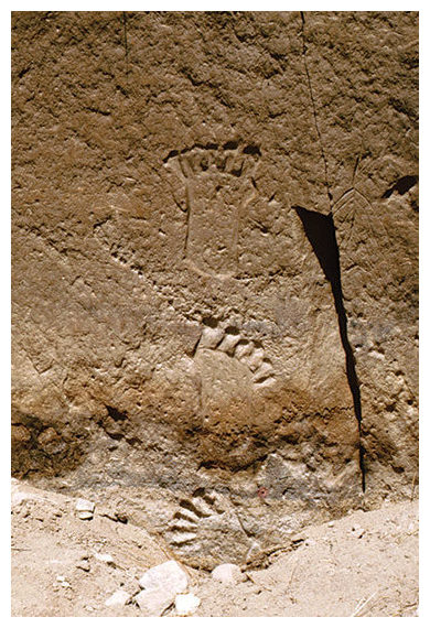 Click to enlarge Six-toed people