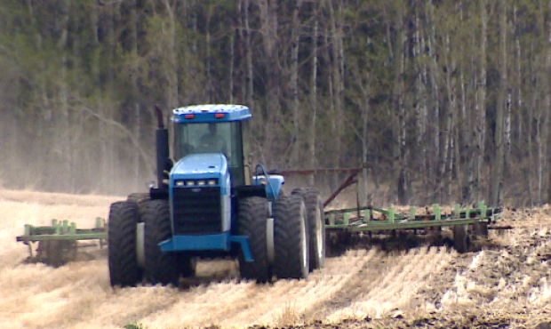 Click to enlarge Some Alberta farmers are facing challenges as they seed after a wet spring and harvest crops that were snowed under last year.