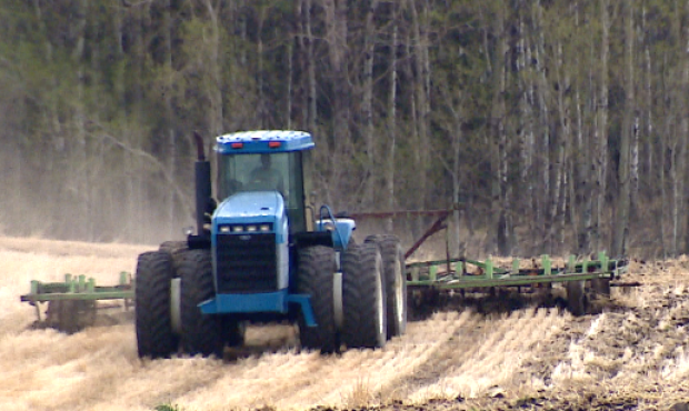 Some Alberta farmers are facing challenges as they seed after a wet spring and harvest crops that were snowed under last year. 