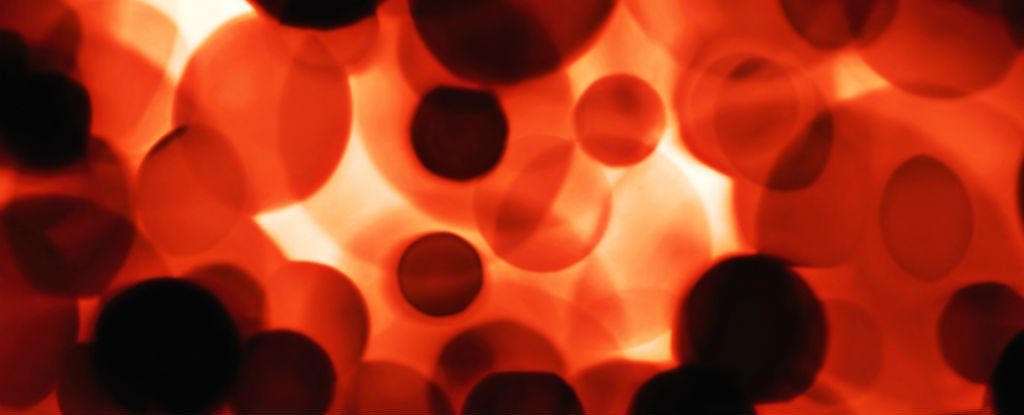 blood Stem Cells 