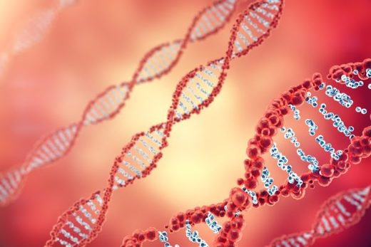 Click to enlarge genetic mutations