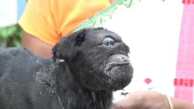 The kid has defied the odds to live past a few days old