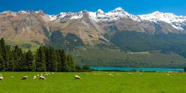 South Island's Alpine Fault