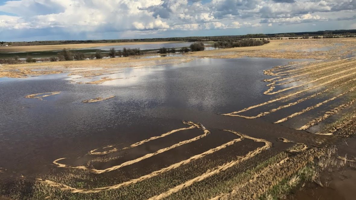 Flooded farmland in Alberta