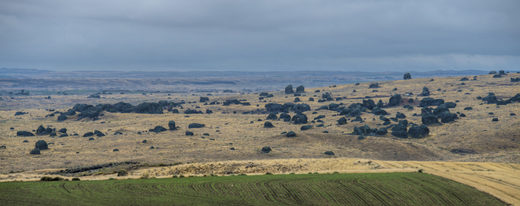 Click to enlarge hancock scablands
