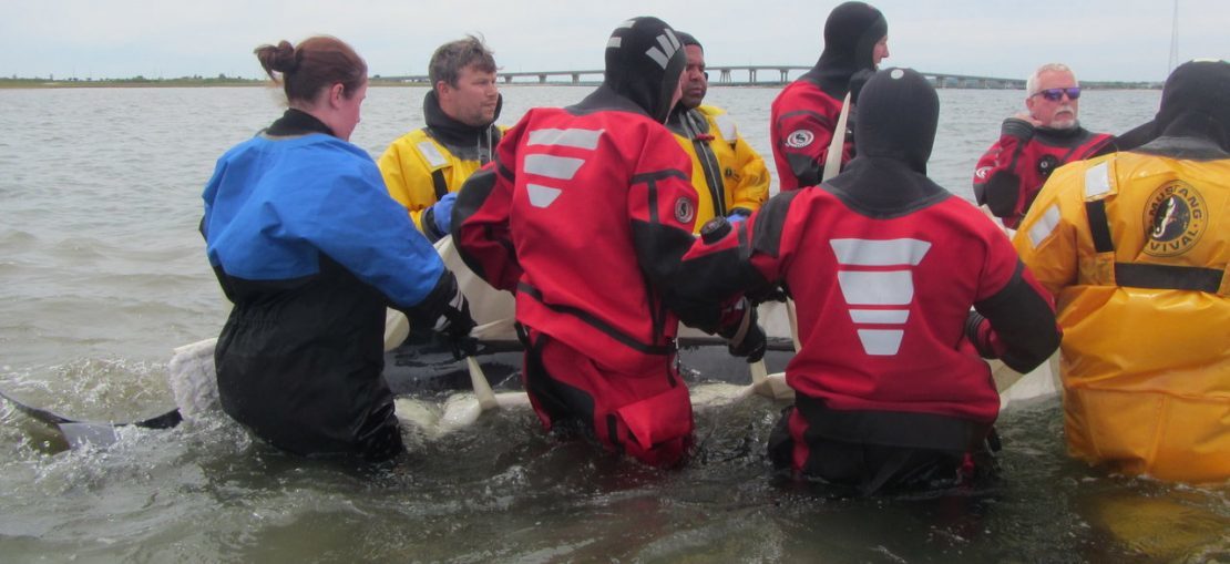 Minke Whale Found Dead on Hamptons Beach