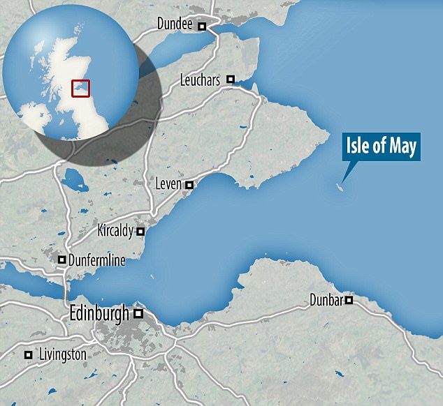 Isle of May