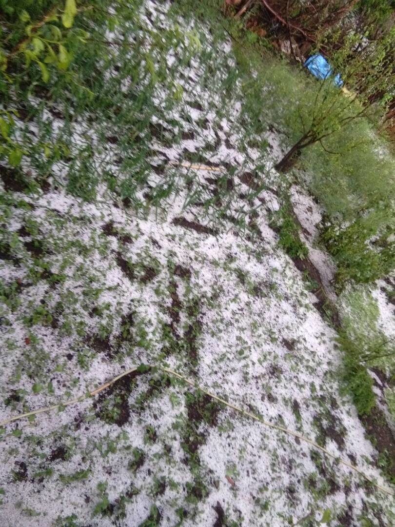 Click to enlarge Hailstorm destroy crops, fruits