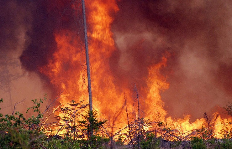 Click to enlarge fire