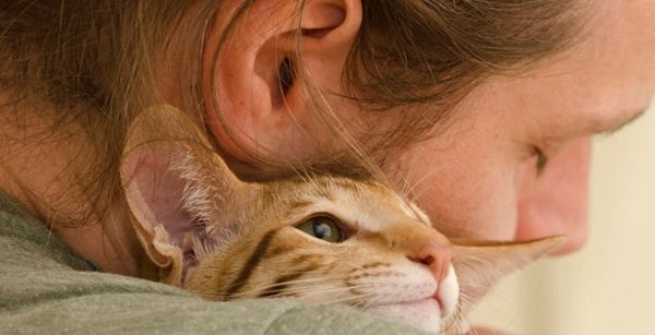 Click to enlarge hugging a cat