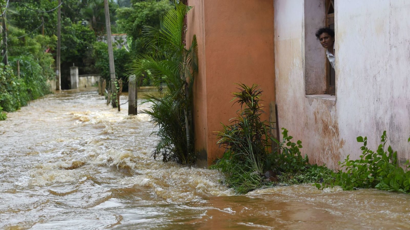 Click to enlarge A resident in a suburb of the capital, Colombo, looks out at the flood waters