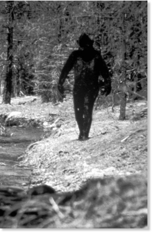 Bigfoot