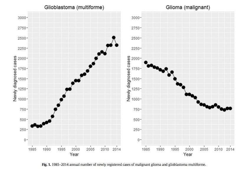 gioblastoma rates
