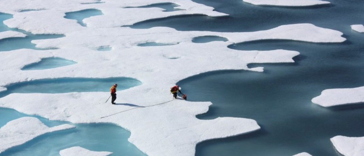 Click to enlarge Arctic