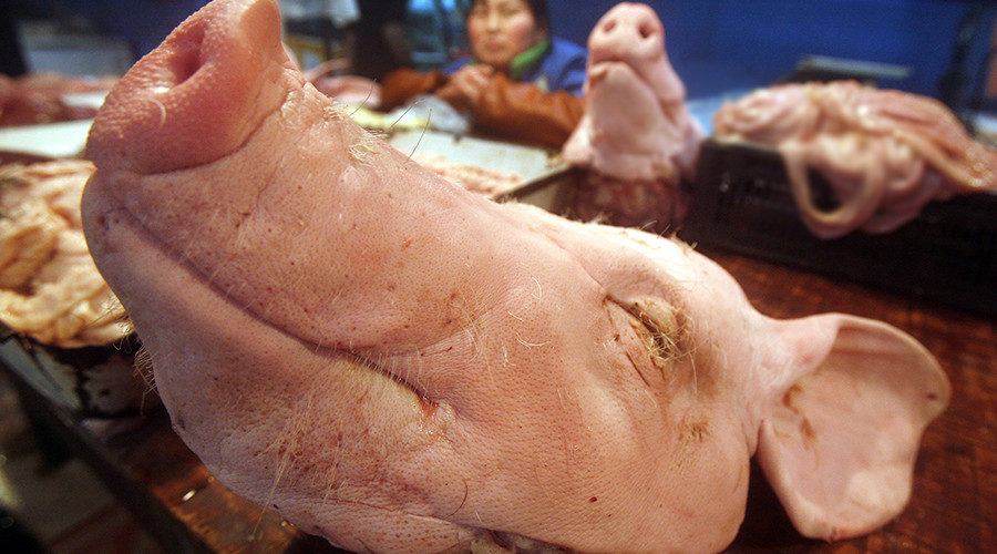 Click to enlarge pig's head