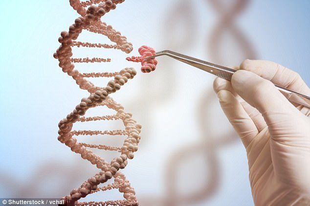 Click to enlarge 'Dizajnerske bebe' stvorene pomoću alata za uređivanje gena Crispr mogu patiti od stotina neželjenih mutacija