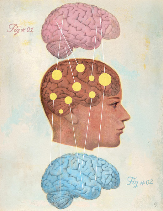 two minds, male female brains