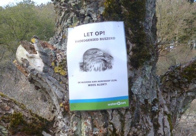 warning about buzzards