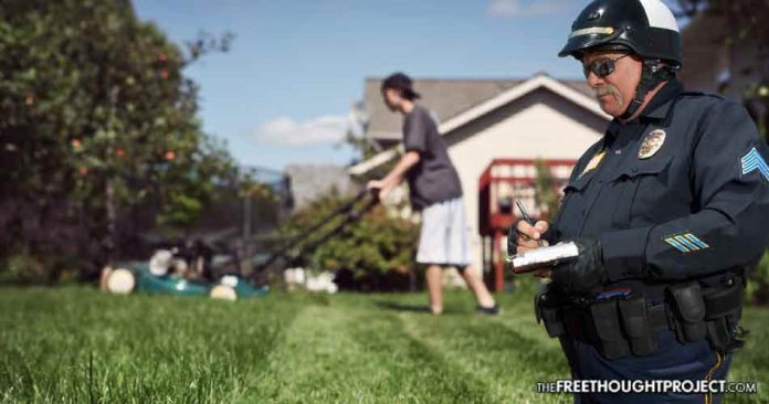 Police and boy mowing lawn