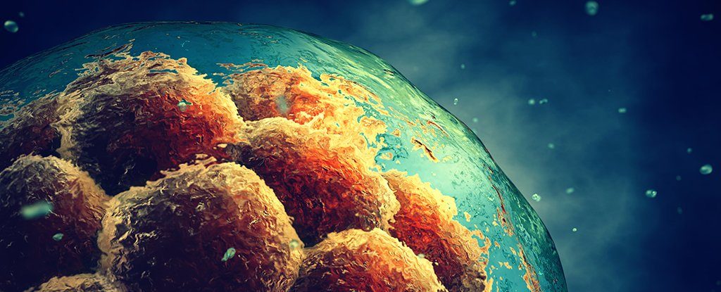 Click to enlarge stem cells