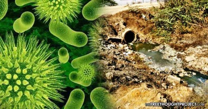 Click to enlarge superbugs