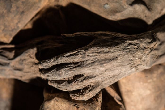 Click to enlarge mummy hand
