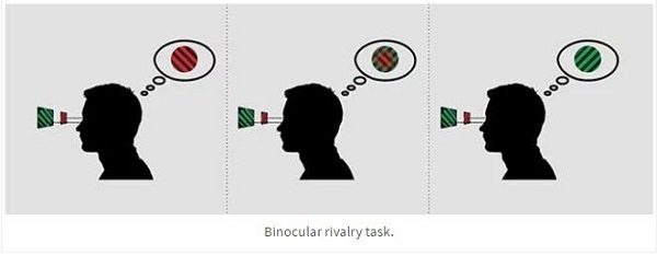 Click to enlarge binocular test