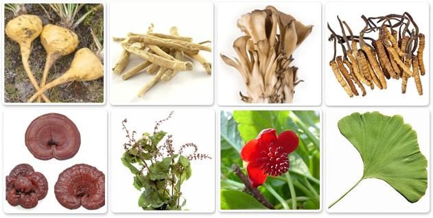 adaptogenic herbs