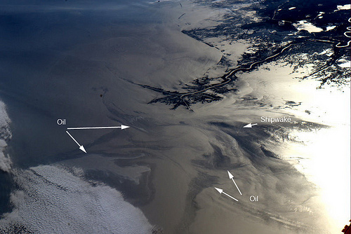Click to enlarge Image