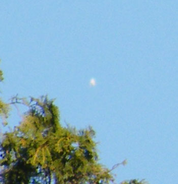 Virginia ufo