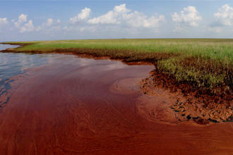 Click to enlarge Image
