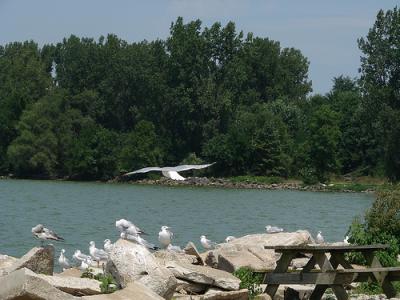 View of Grand Lake, Ohio