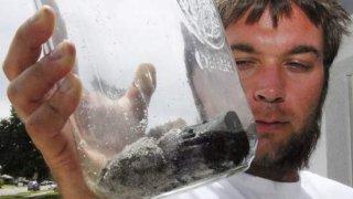 Chris Davis tar